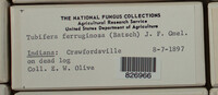 Image Associated With the Occurence